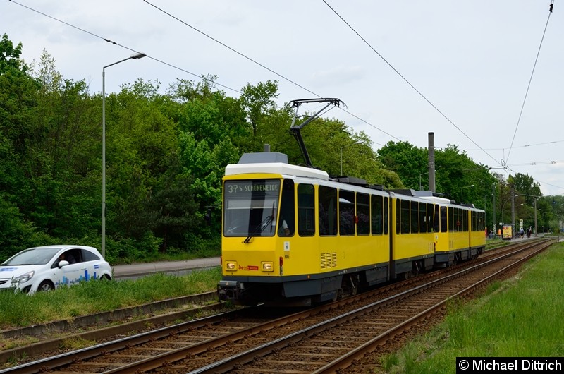 Bild: 6041 + 6170 als Linie 37 zwischen den Haltestellen Hegemeisterweg und Volkspark Wuhlheide.