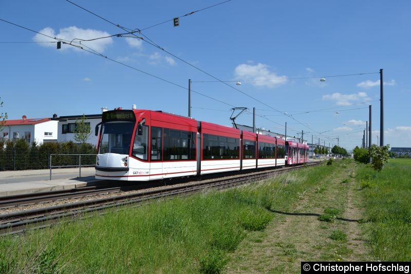 Bild: Tw 647+705 als Linie 2 am Ringelberg.