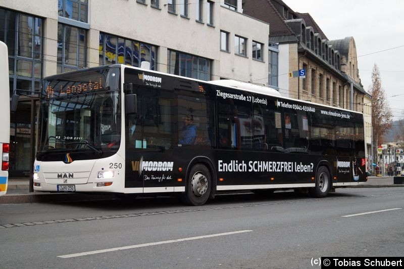 Bild: Bus 250 als Linie 14 an der Haltestelle Holzmarkt, Stadtzentrum.
