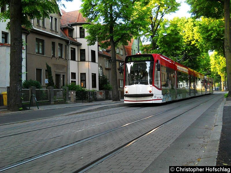 Bild: TW 630+705 auf der Linie 2 in der Haltestelle Robert-Koch-Straße.