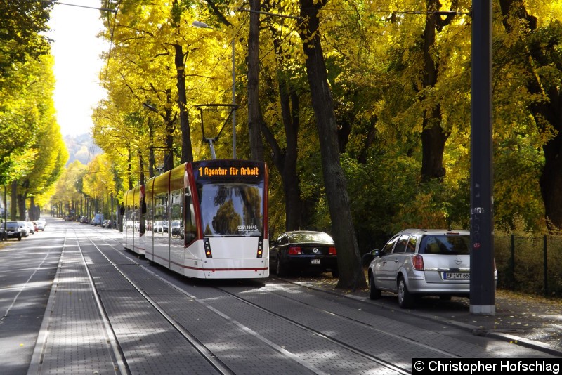 Bild: Als Linie 1 in der Friedrich-Ebert-Straße.