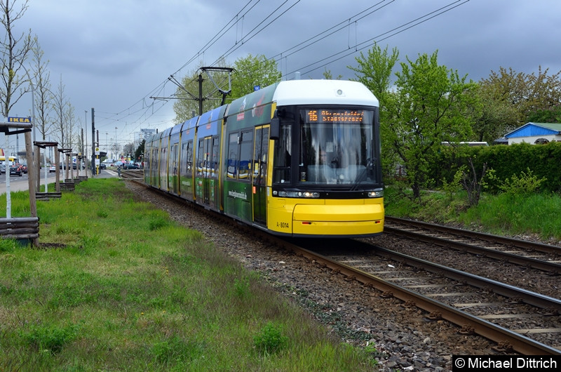 8014 als Linie 16 zwischen den Haltestellen Landsberger Allee/Rhinstr. und Dingelstädter Str.