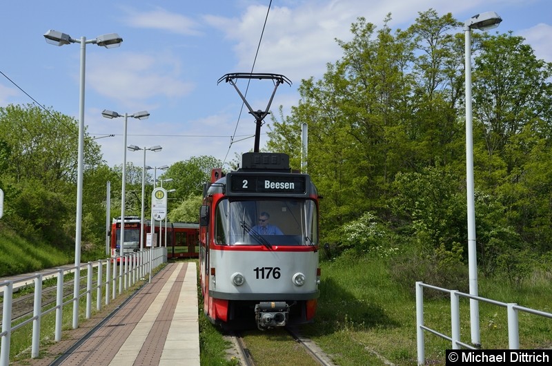 Bild: Sonderfahrt mit 1176 + 204: In der Abfahrtshaltestelle Soltauer Straße.