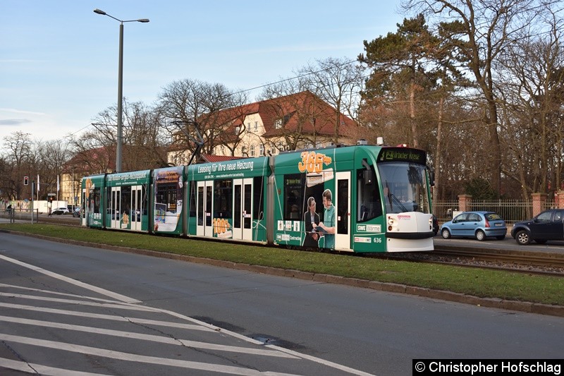 Bild: TW 636 als Linie 3 auf der Nordhäuser Straße/Höhe alte Zahnklinik in Richtung Urbicher Kreuz