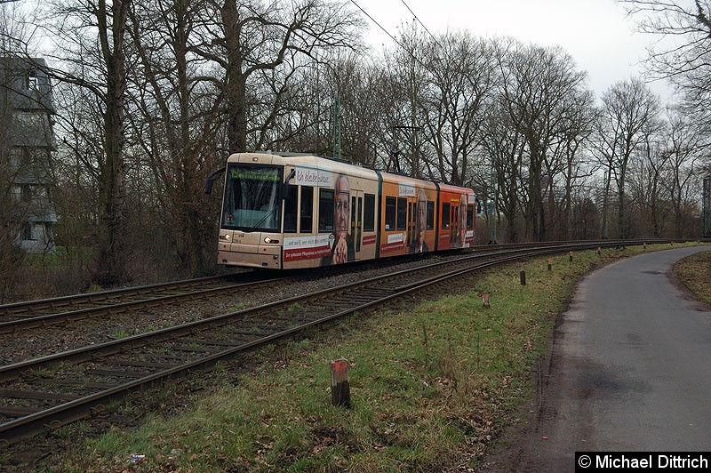 228 als Linie 19 zwischen den Haltestellen Waldau und Waldfriedhof Goldstein. Bild: 228 als Linie 19 zwischen den Haltestellen Waldau und Waldfriedhof Goldstein.