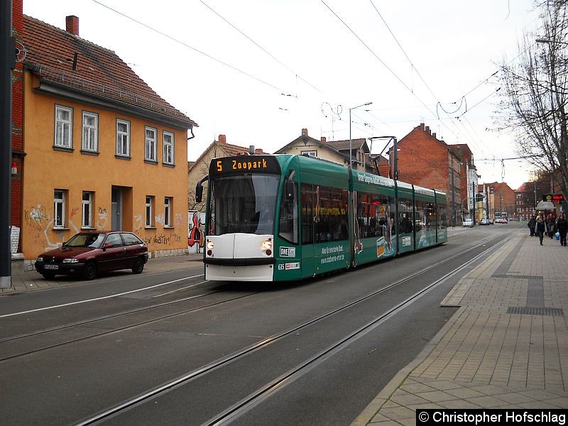 Bild: TW 635 auf der Linie 5 in der Salinenstraße.