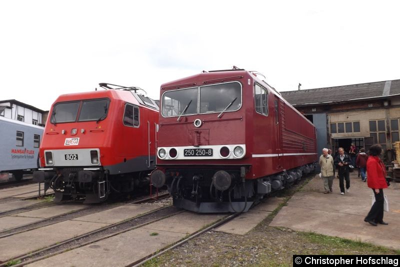 Bild: MEG 802 (ex 156 002) und 250 250-8.