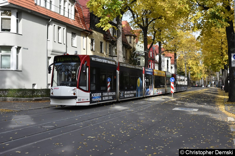 Bild: TW 643+709 als Linie 3 in der Windthorststraße.