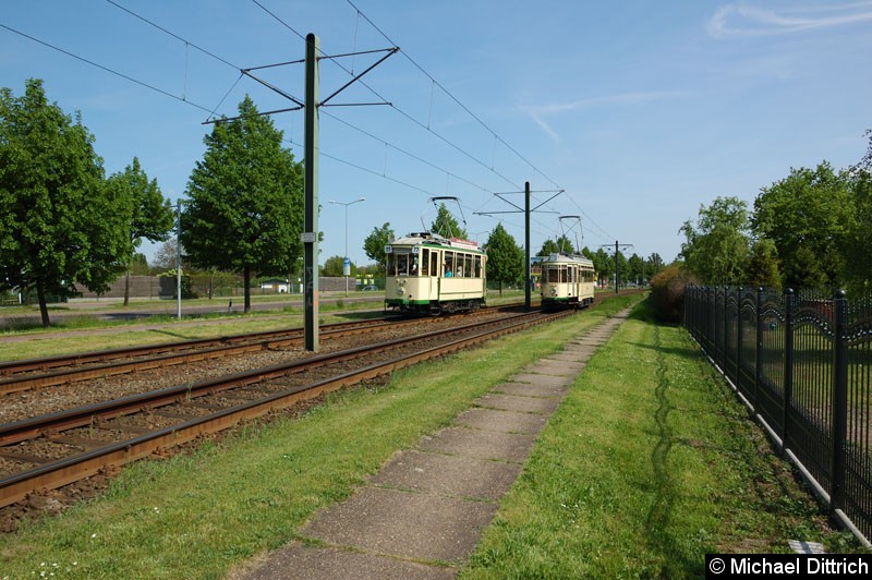 Bild: Wagen 70 als Linie 77 anlässlich 30 Jahre Strecke nach Olvenstedt: Hier zwischen den Haltestellen Rennetal und Albert-Vater-Str. wo ihm der Wagen 124 entgegen kommt.