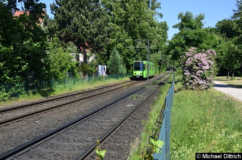 Bild: 6224 als Linie 8 zwischen den Haltestellen Am Mittelfelde und Messe/Nord.