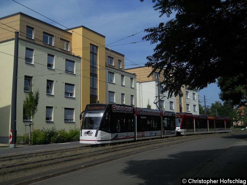 Bild: Combino-Traktion 715+627 der Linie 3 in der Melchendorfer Straße .