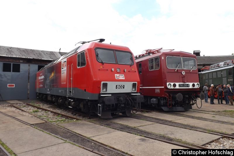 Bild: MEG 802 (ex 156 002) und 250 250-8.