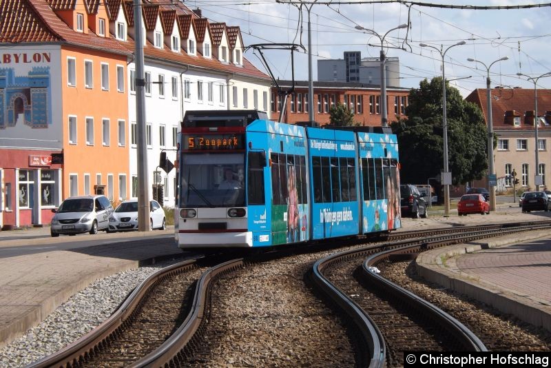 Bild: TW 610 als Linie 5 in Richtung Zoopark in der Stotterheimer Straße.