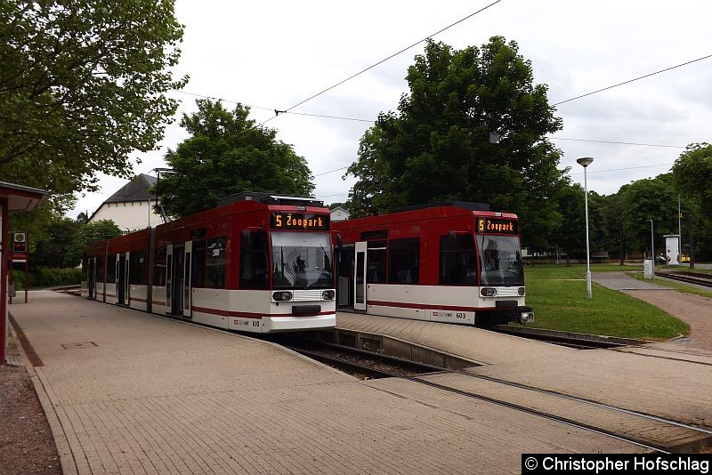 Bild: TW 610 und 603 als Linie 5 an der Thüringenhalle.