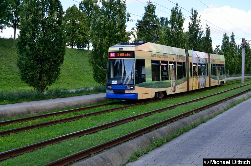 Bild: 1107 als Linie 16 kurz vor der Haltestelle S-Bf. Messe.