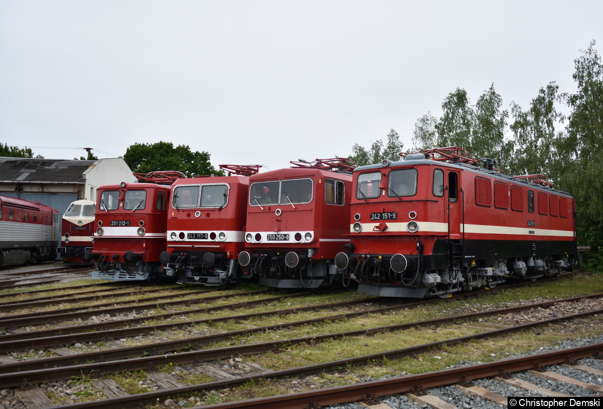 251 012-1, 243 117-9, 250 250-8 und 242 151-9 auf dem Gelände des Eisenbahnmuseum Weimar.