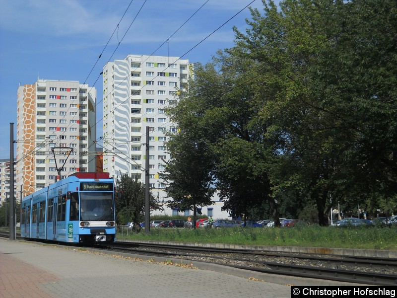 Bild: TW 604 am Roter Berg und in Hintergrund die Twin Towers des Roten Berg .