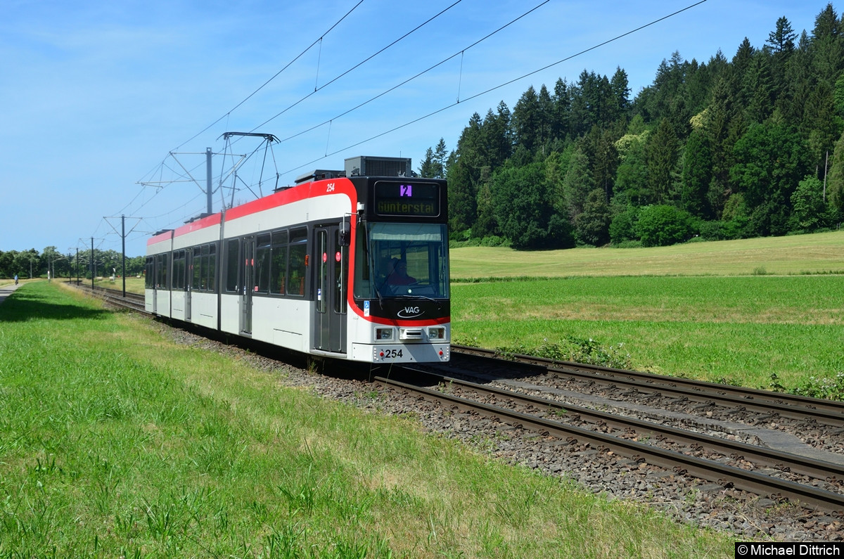 254 als Linie 2 zwischen den Haltestellen Wonnhalde und Wiesenweg.