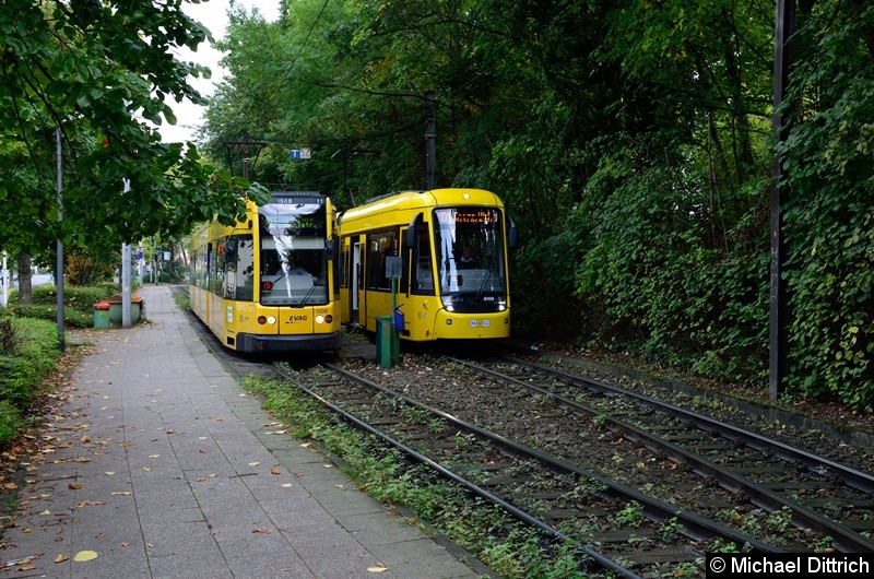 1508 fährt als Linie 103 am wartenden 8009, als Linie 101, vorbei. Bild: 1508 fährt als Linie 103 am wartenden 8009, als Linie 101, vorbei.