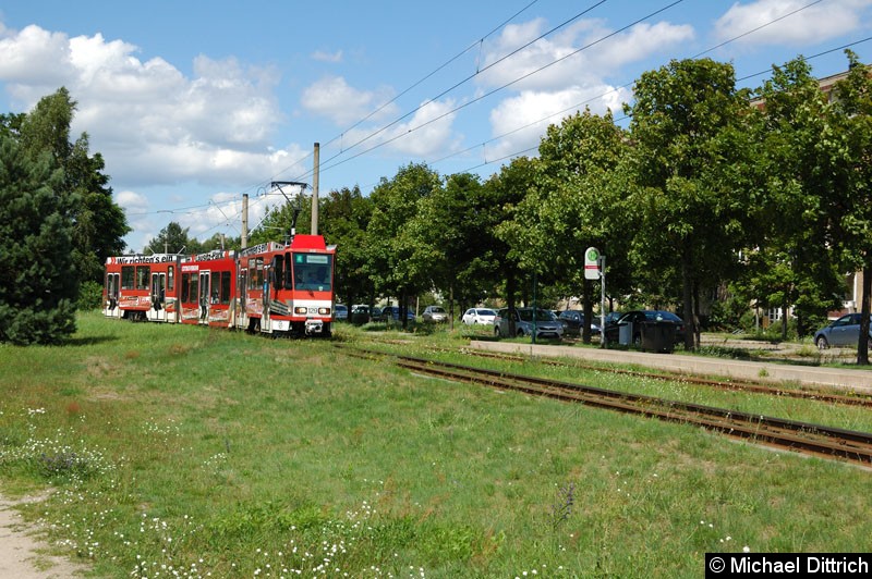 Bild: 129 als Linie 4 in Neu Schmellwitz aus der Wendeschleife kommend.