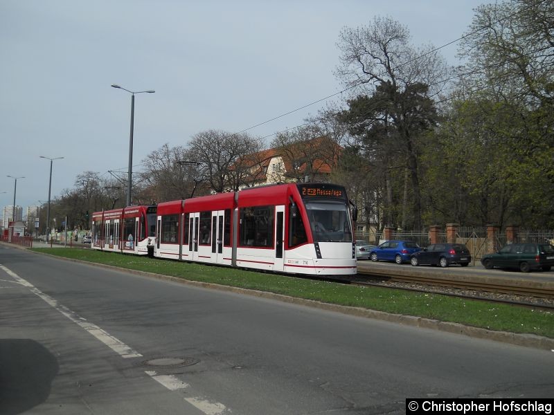 Bild: Tw 714+706 als Linie 2 in der Nordhäuser Straße.
