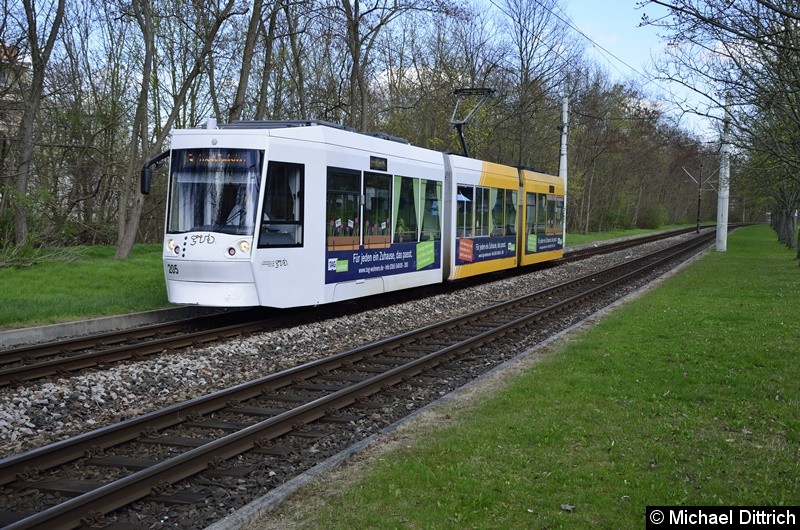 Bild: 205 erreicht als Linie 3 die Endstelle Lusan, Zeulsdorf.