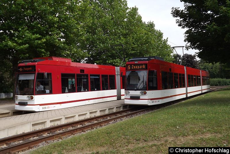 Bild: TW 606 (unmodernisiert) und 605 (modernisiert) als Linie 5 an der Thüringenhalle.