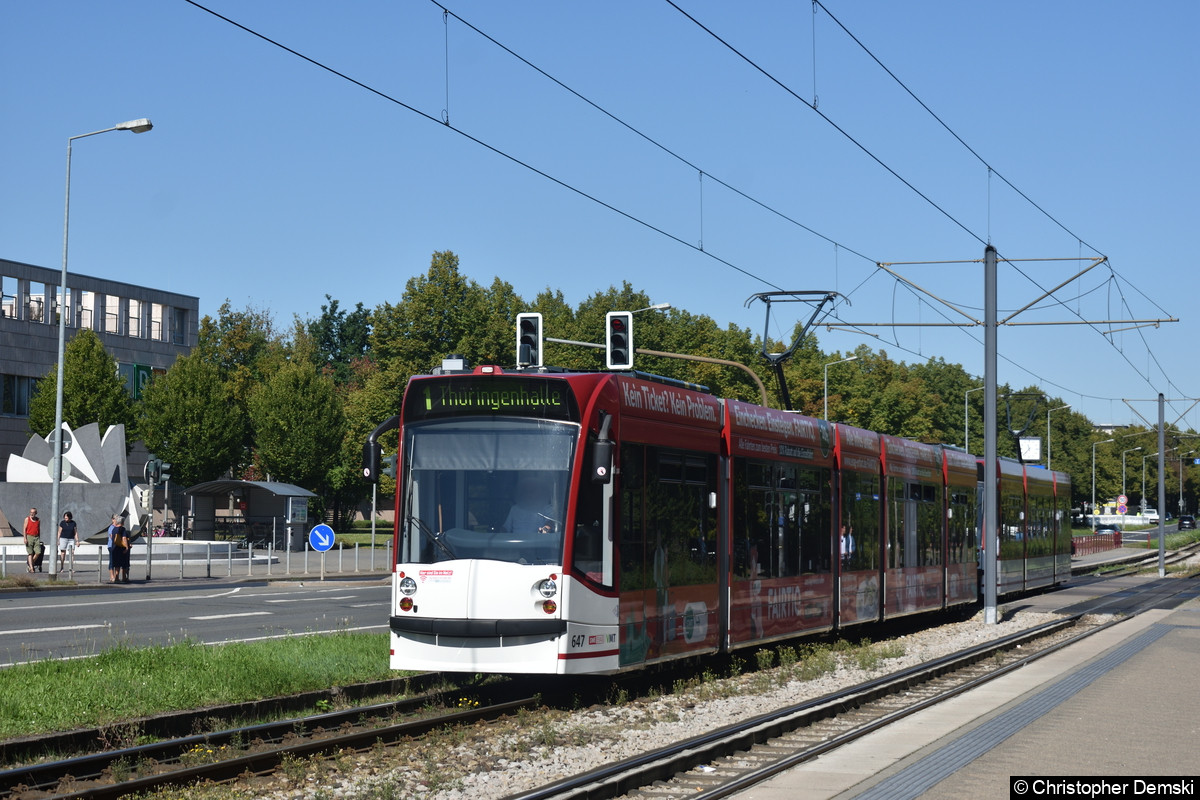 Tw 647+711 als Linie 1 auf der Nordhäuser Straße im Bereich Thüringen-Park.