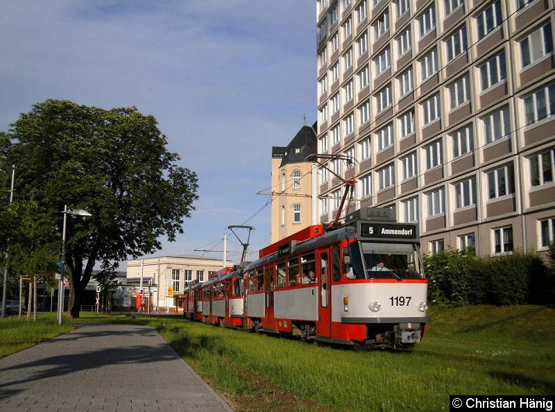 Bild: Eine Dreierzug in der Nähe von Hauptbahnhof.