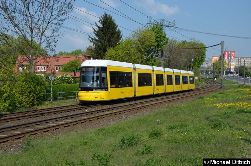 Bild: 8004 als Linie M6 kurz vor der Haltestelle Landsberger Allee/Rhinstr.