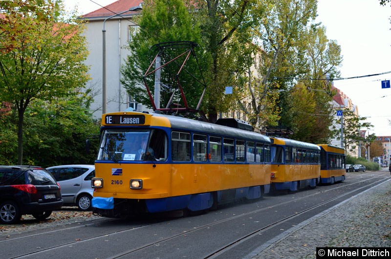 Bild: 2160 + 2037 + 915 als Linie 1E in der Michaelisstr.