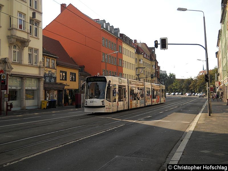 Bild: TW 634 an der Haltestelle Boyneburgufer auf der Linie 1.