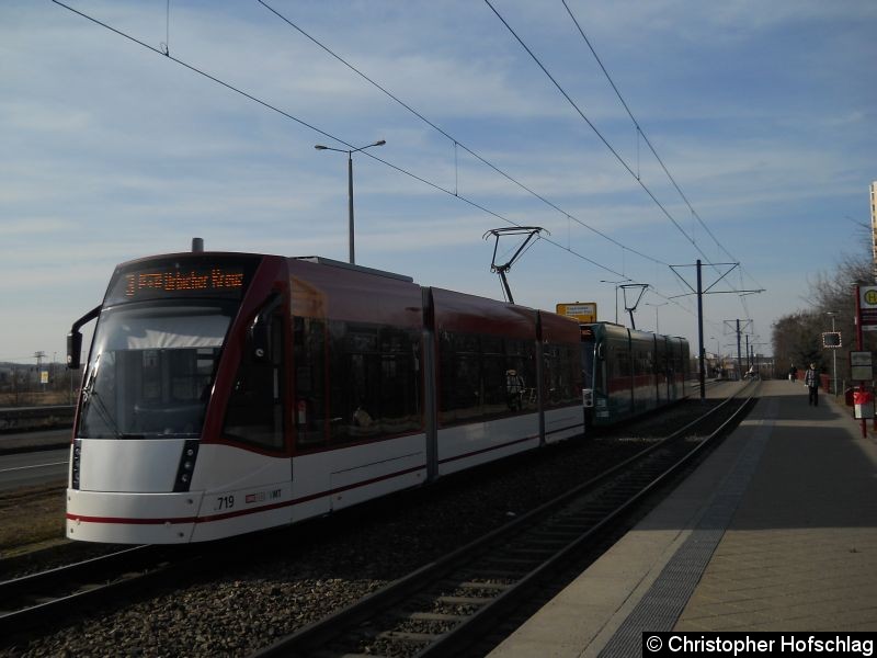 Bild: TW 719+635 auf der Linie 3 Nordhäuser Straße / Höhe Haltestelle Straße der Nationen.