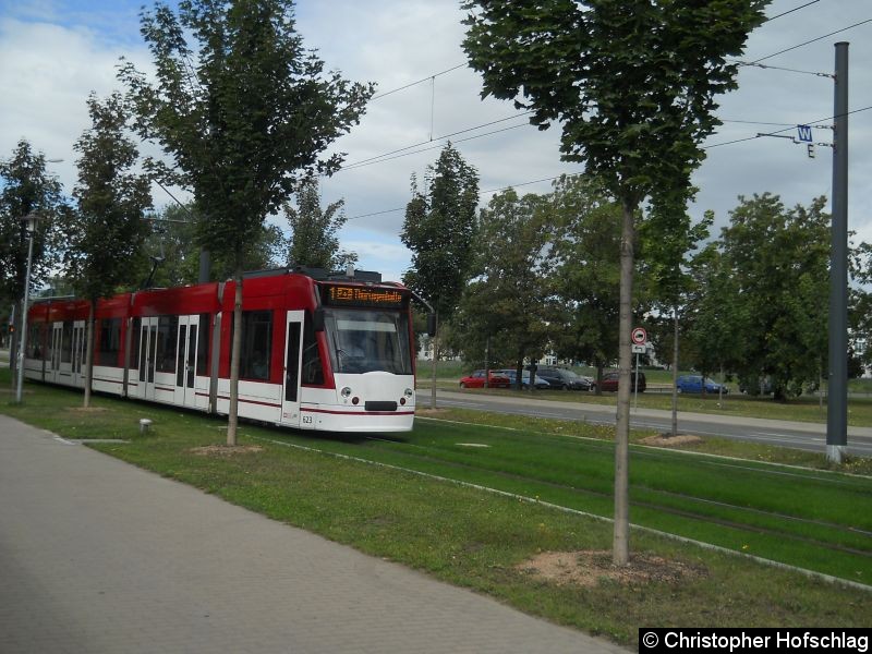 Bild: TW 623 auf der Linie 1 in Rieth.