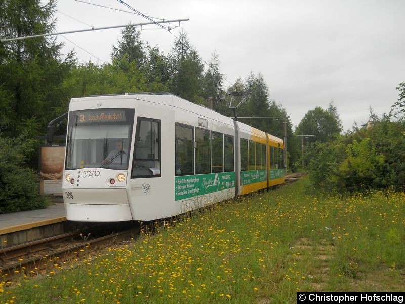 Bild: TW 206 auf der Linie 3 in Bieblach Ost.