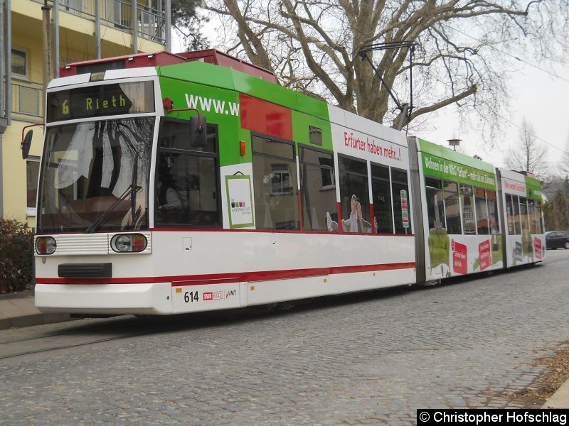 Bild: TW 614 als Linie 6 in der Steigerstraße.