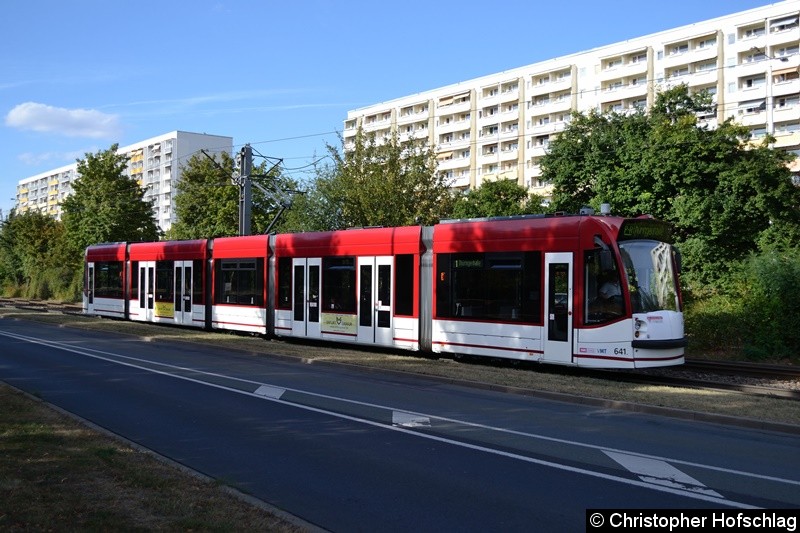 Bild: TW 641 als Linie 1 in Bereich Nordhäuser Straße/Thüringen-Park.