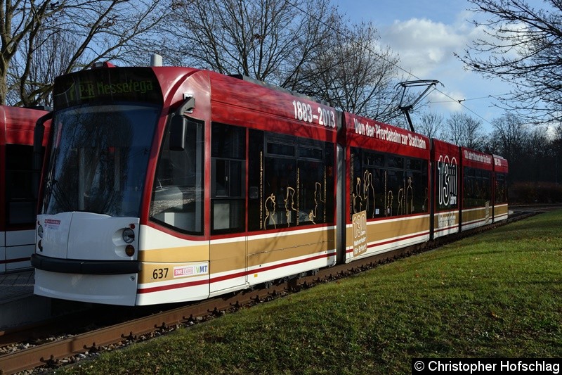 Bild: TW 637 als Linie 7 an der Thüringenhalle.