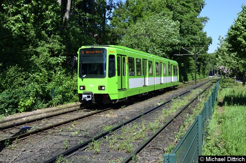 Bild: 6256 als Linie 8 zwischen den Haltestellen Am Mittelfelde und Messe/Nord.