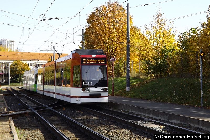 Bild: Auf den Weg zur Haltestelle Am Schwemmbach.(Melchendorfer Straße)