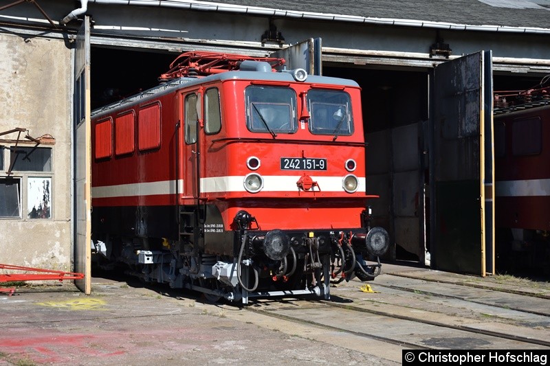 Bild: BR 242 151-9 vor den Lokschuppen in BW Weimar.