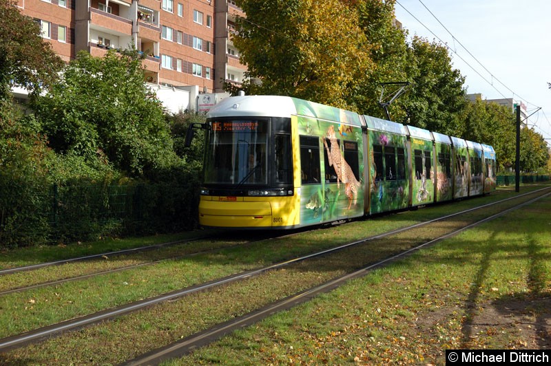 Bild: 8001 als Linie M5 zwischen den Haltestellen Prerower Platz und Ahrenshooper Str.
Damit ist der erste Flexity Berlin lang mit einer Vollwerbung versehen.