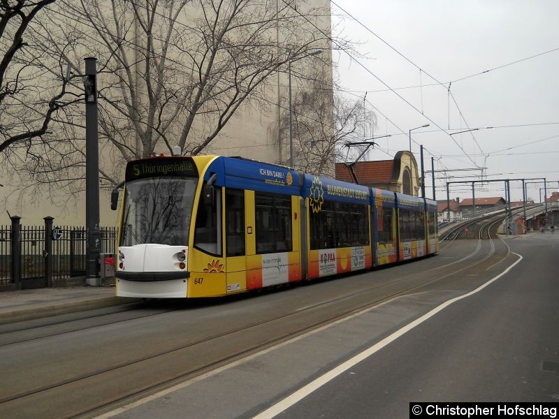 Bild: TW 647 als Linie 5 zur Thüringenhalle kurz vor der Haltestelle Salinenstraße.