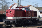 204 354-5