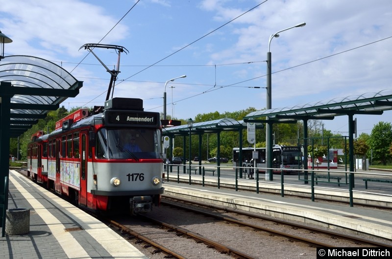 Bild: Sonderfahrt mit 1176 + 204: In der Haltestelle Kröllwitz.