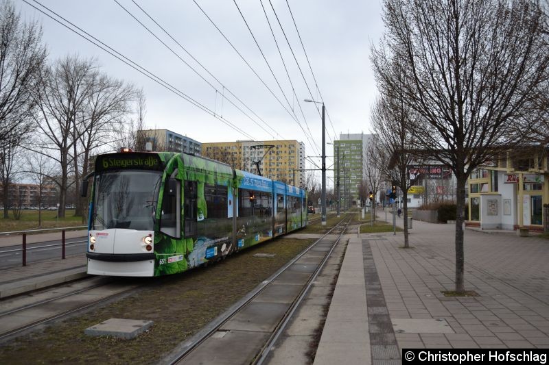 Bild: TW 651 als Linie 6 an der Haltestelle Vilniuser Straße.