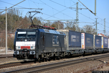 Bild der Woche