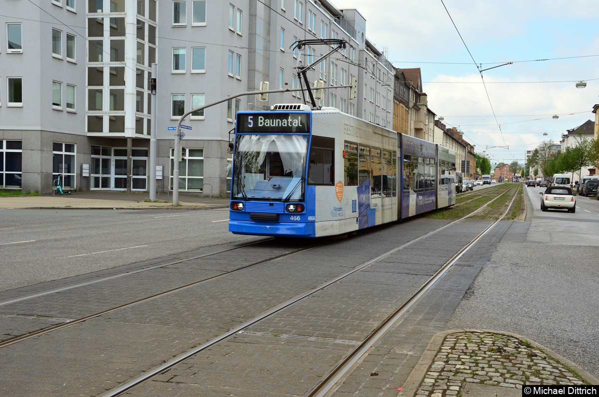 Bild der Woche